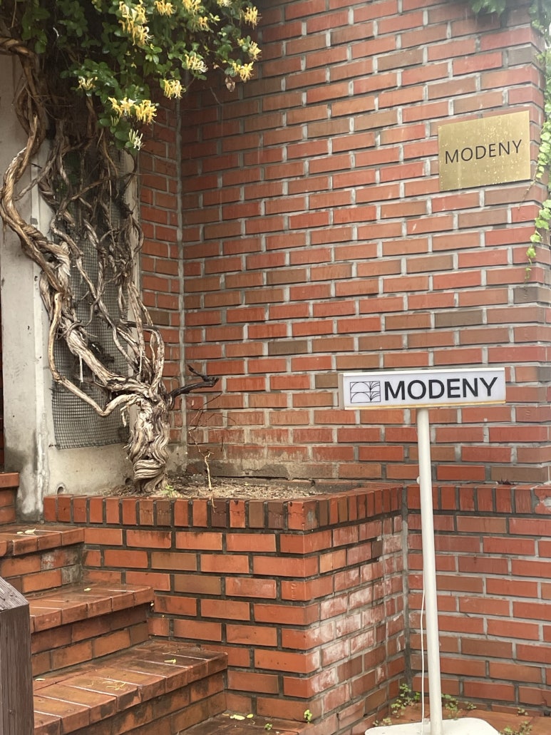 모드니modeny 이미지