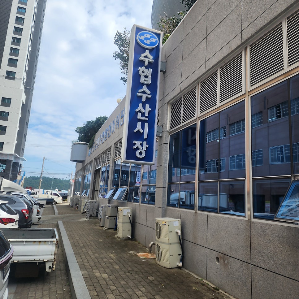 완도금일수산 이미지