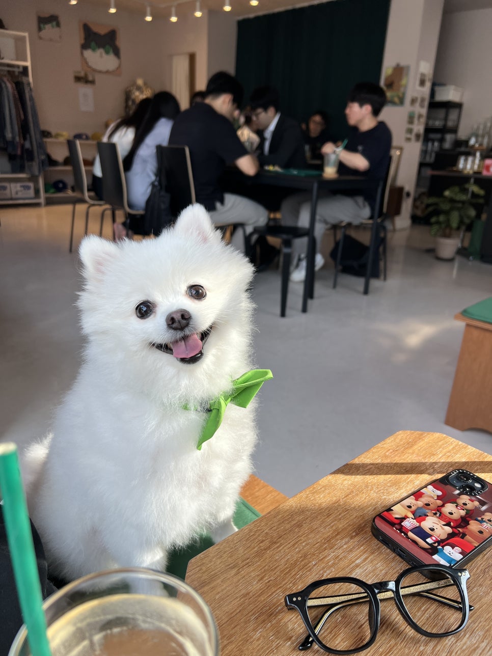 본아프레미디 이미지