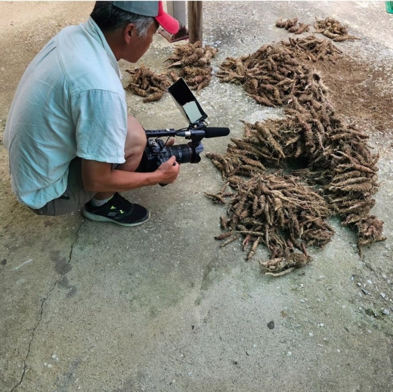 사돈농장 이미지