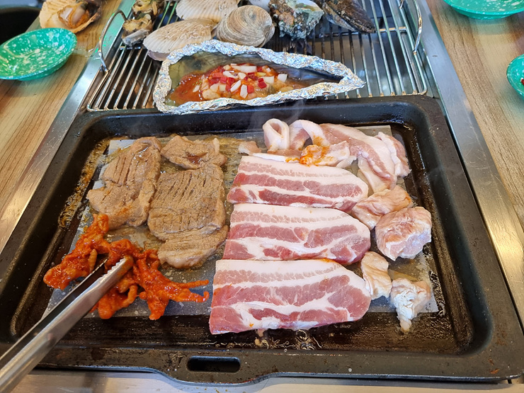 바다나무 이미지