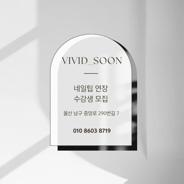 비비드순 이미지