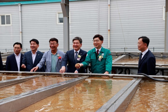 대한보성산업 이미지