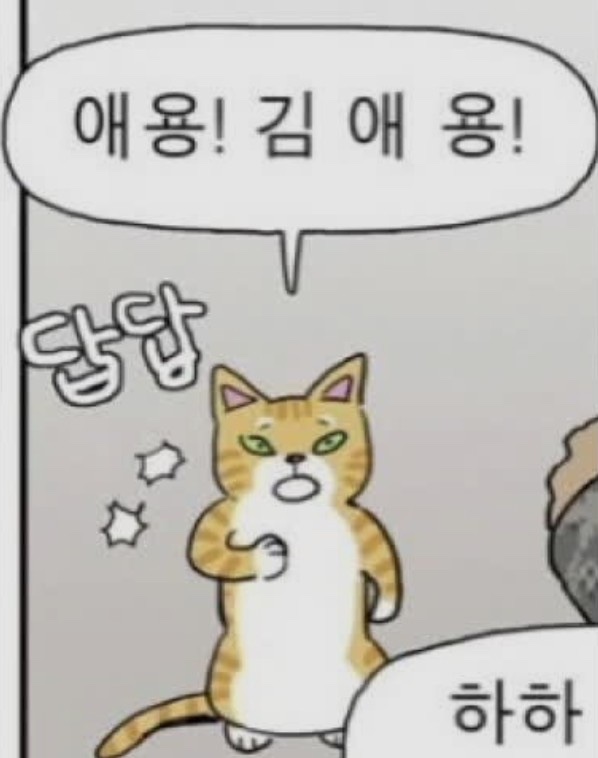 콩빠두 이미지
