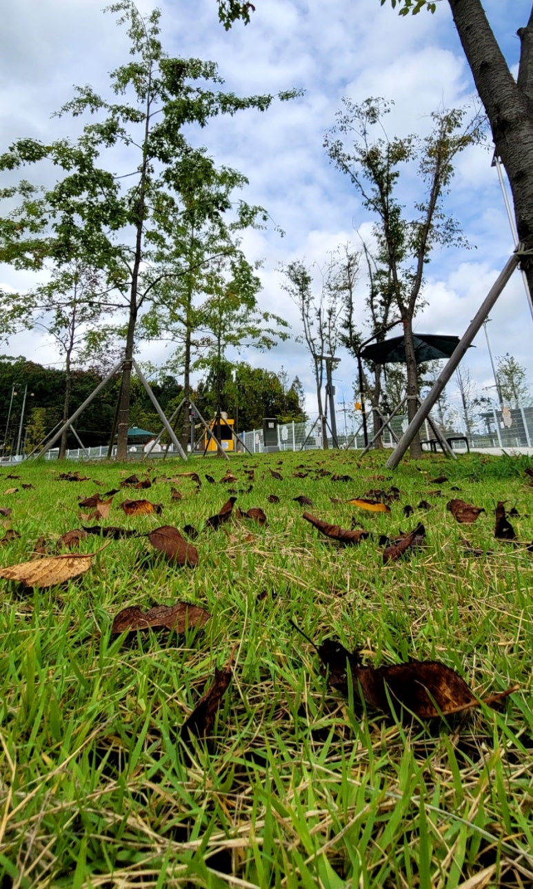 천세봉한의원 이미지