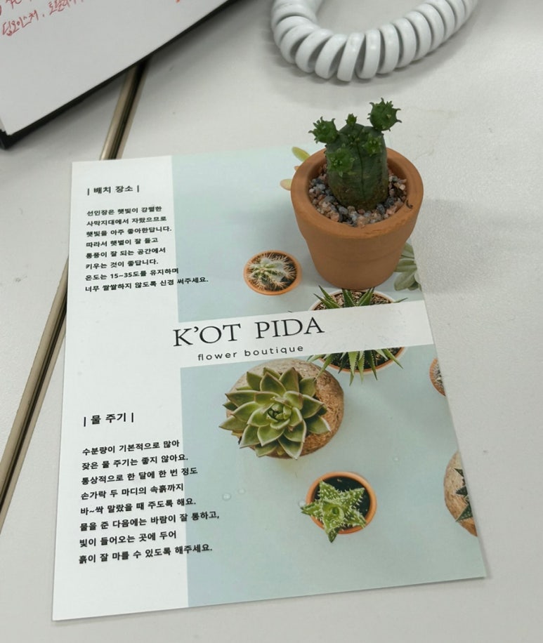 카페베르떼 이미지