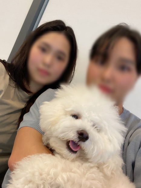 카페브이 이미지