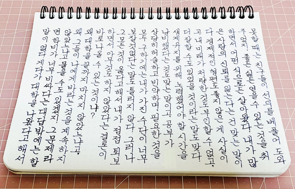 (주)로디아 이미지