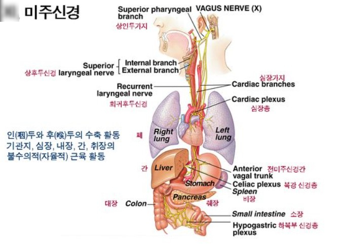 (주) 다미 이미지