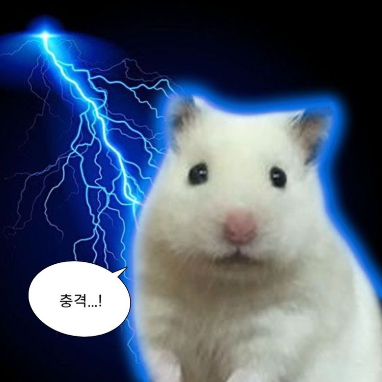 (주)폴링투어 이미지