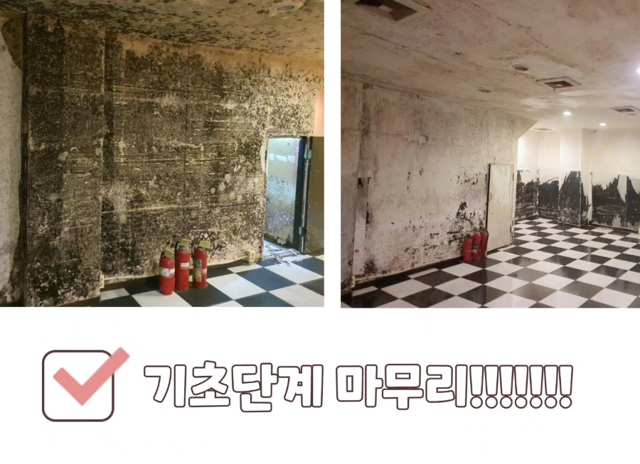 개미클린 이미지