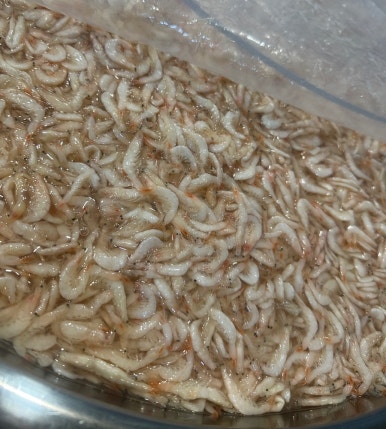 강경중앙젓갈상회 이미지