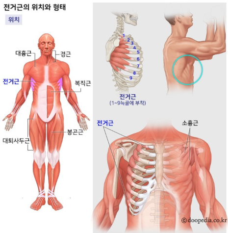 원퍼센트피트니스 이미지