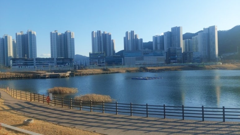 허그포레스트 이미지