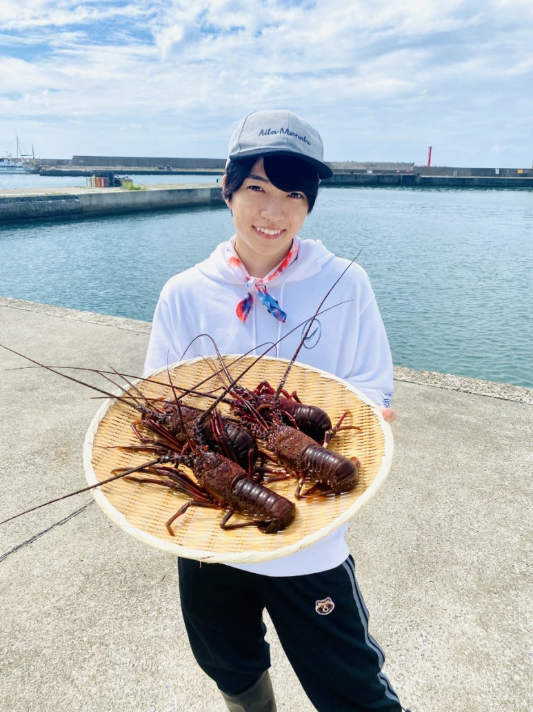 노키 이미지