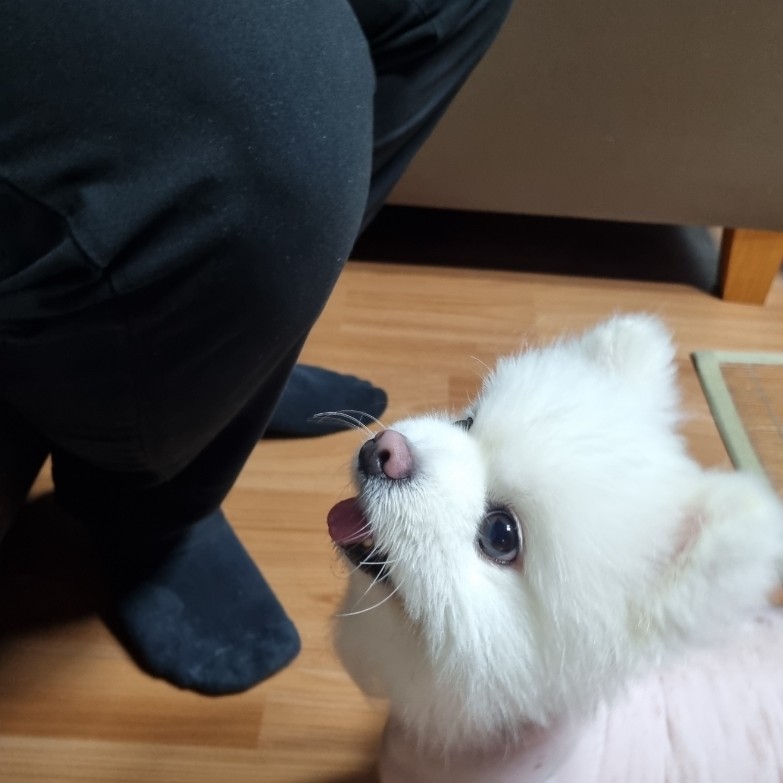 뜰안분식 이미지