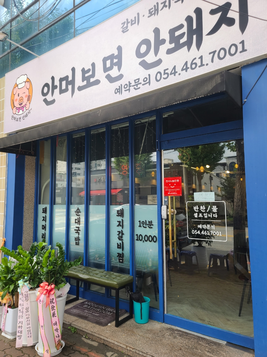 안머보면안돼지 이미지
