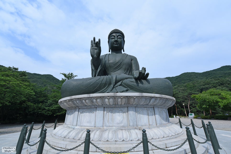 법인자연심 이미지