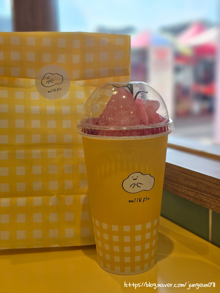 미크플로 이미지