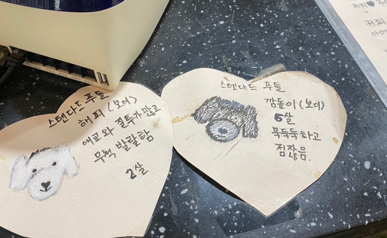 버등들 이미지