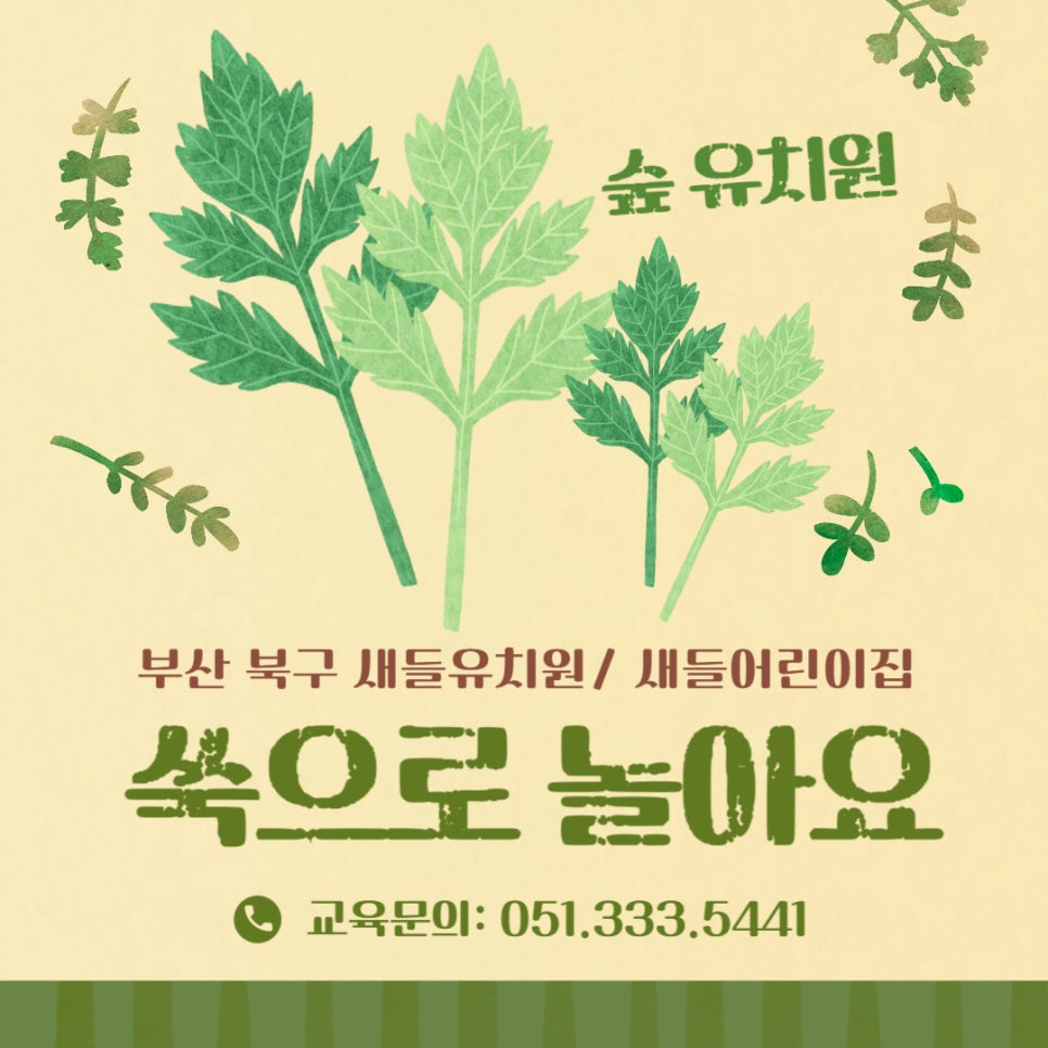 새들유치원 이미지