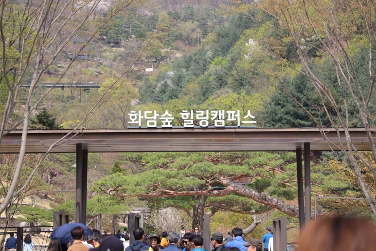 화담조경 이미지