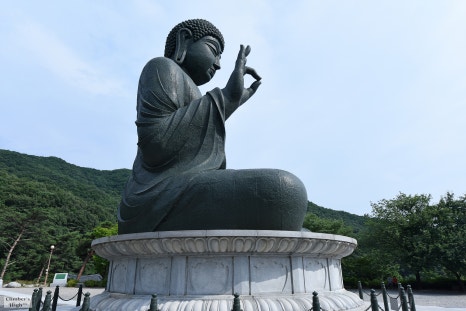 법인자연심 이미지