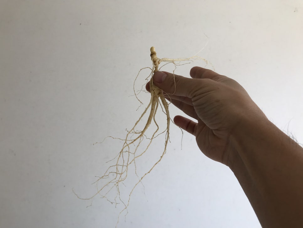 백두산유통 이미지