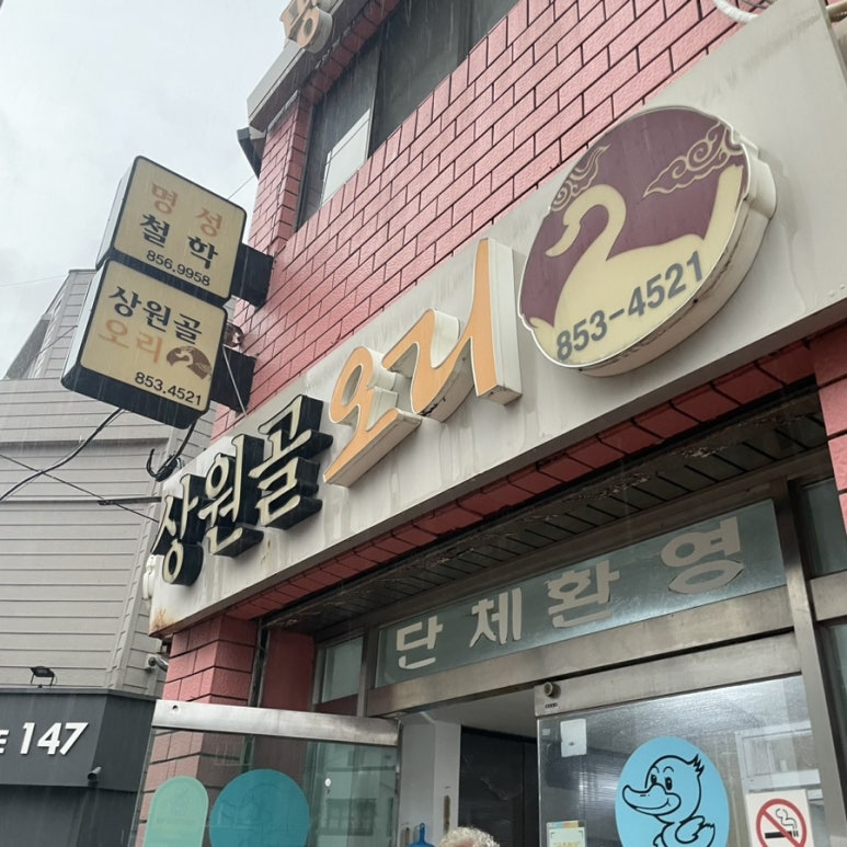 상원골오리 이미지