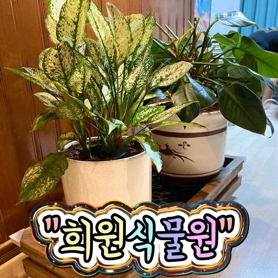 희원식물원 이미지