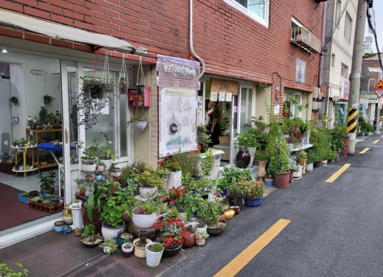 도래샘 이미지