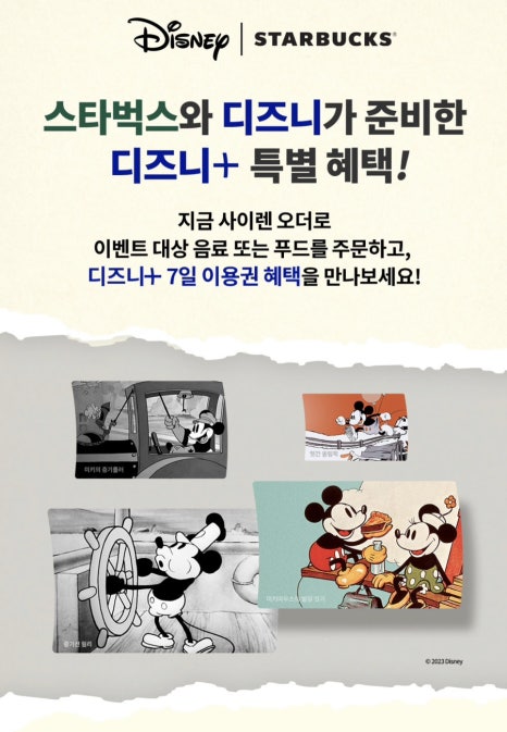 딜라이트플러스 이미지
