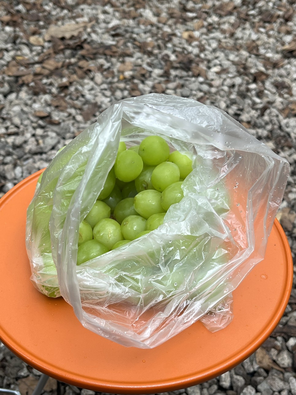 포천계곡캠핑장 이미지