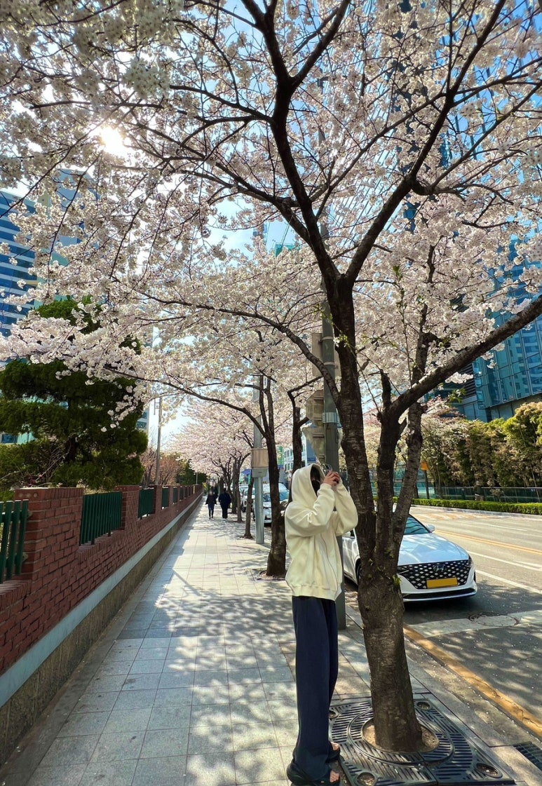 케이아카이브 이미지