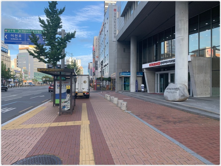 페디Bio 이미지