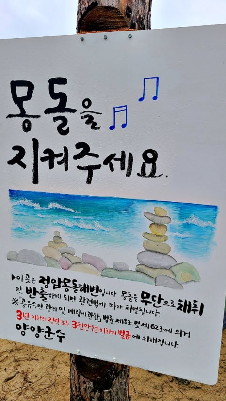 정암마켓 이미지