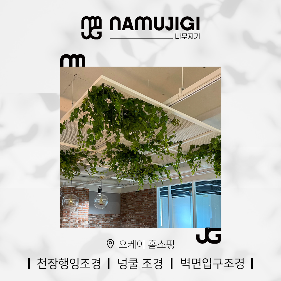 오케이홈쇼핑 이미지