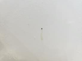 오토카지 이미지