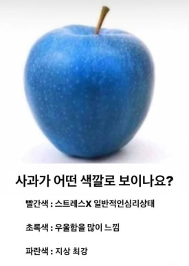 머꼬 이미지