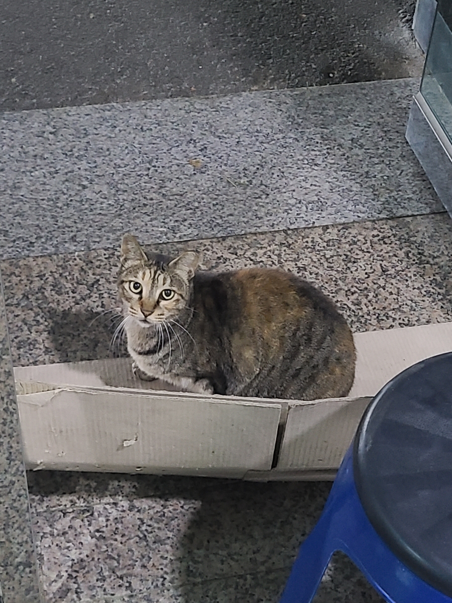 동명식육식당 이미지