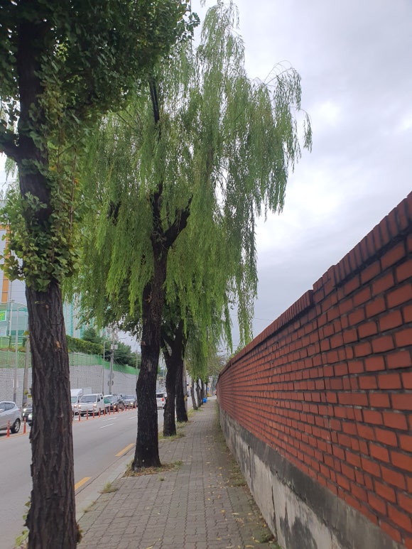 엔피투어 이미지