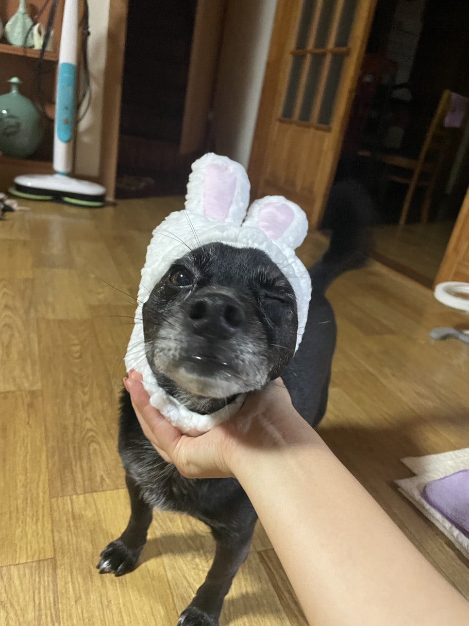 섹시크럽 이미지