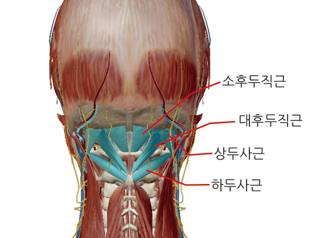 김세종한의원 이미지
