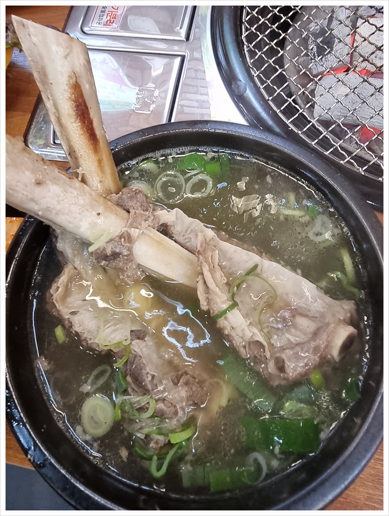 청년장어 이미지