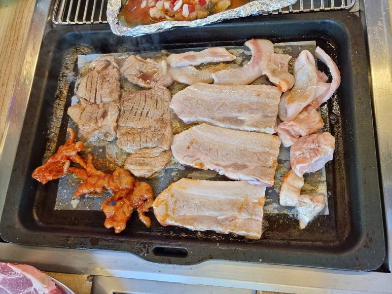 바다나무 이미지