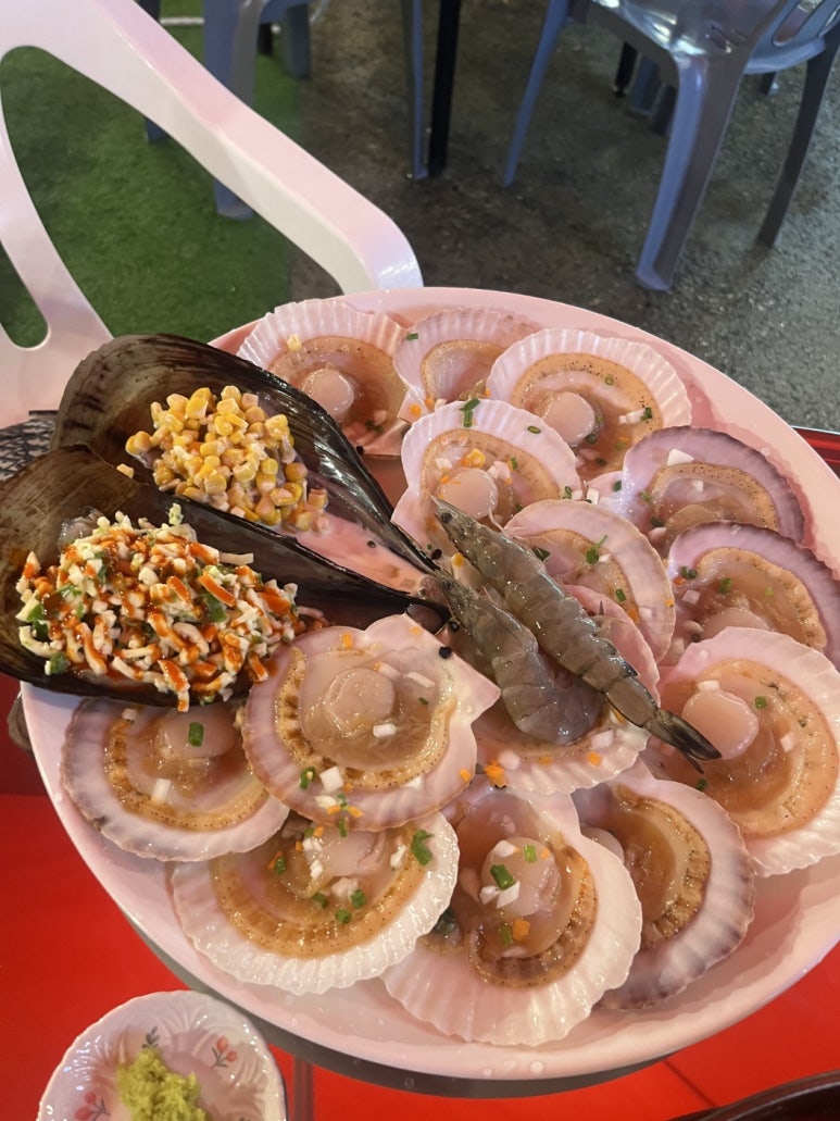 조개2102 이미지