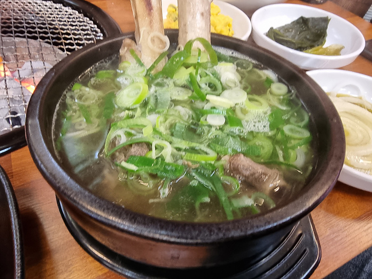 청년장어 이미지