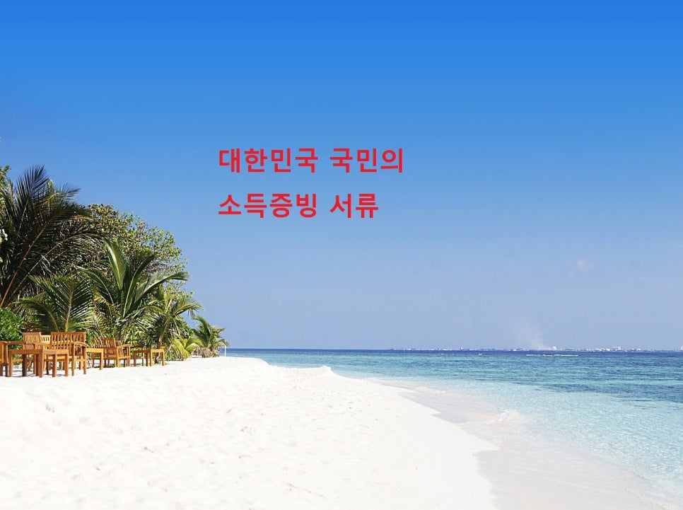 세종행정사 이미지