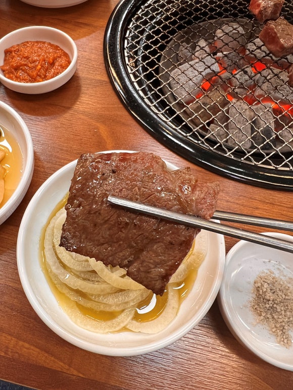 청년장어 이미지