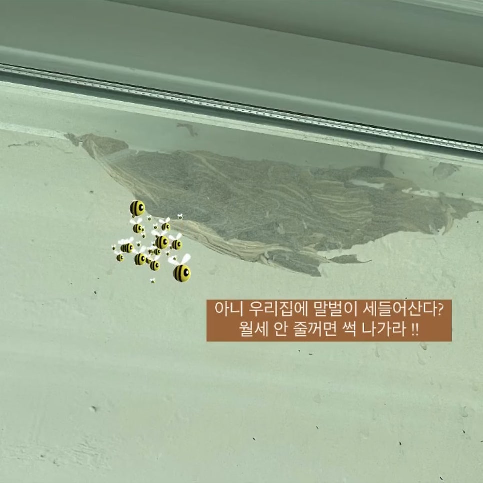방충망영웅 이미지